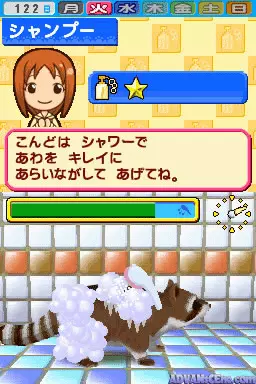 Image n° 3 - screenshots : Pet Shop Monogatari DS 2